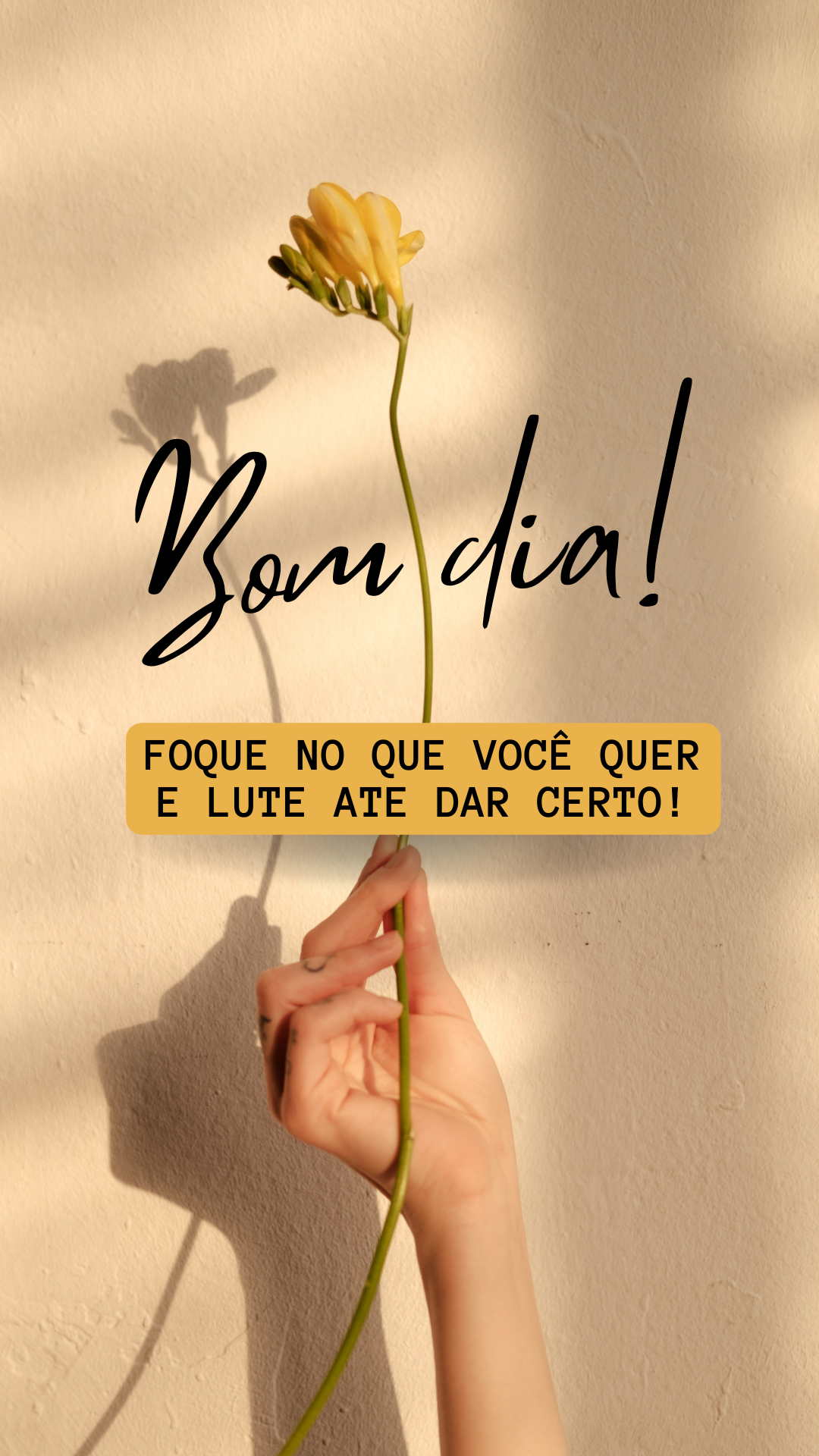 4. Bom dia! Foque no que você quer e lute ate dar certo!