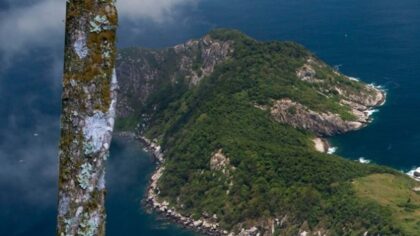 10 curiosidades sobre a Ilha das Cobras no Brasil