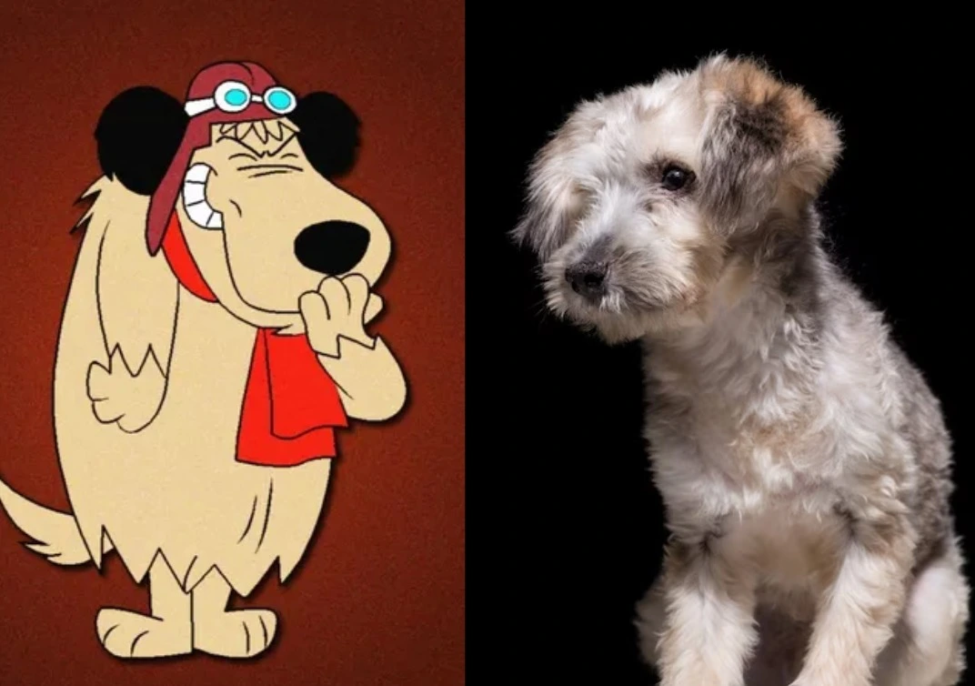 Muttley - SRD