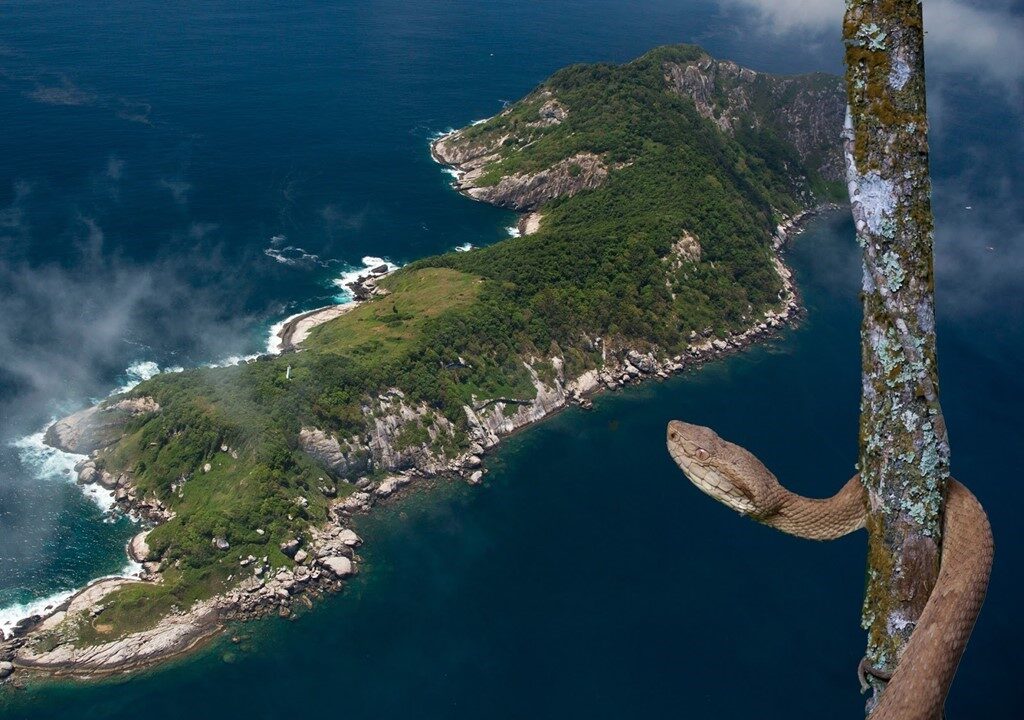 A Ilha das Cobras fica no interior da Baia de Guanabara na cidade do Rio de Janeiro estado do Rio de Janeiro no Brasil