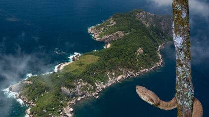 A Ilha das Cobras fica no interior da Baia de Guanabara na cidade do Rio de Janeiro estado do Rio de Janeiro no Brasil