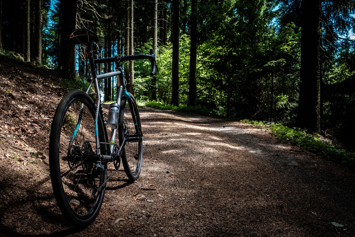 bicicleta aro 29