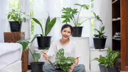 Conheça 4 plantas que removem o mofo da sua casa