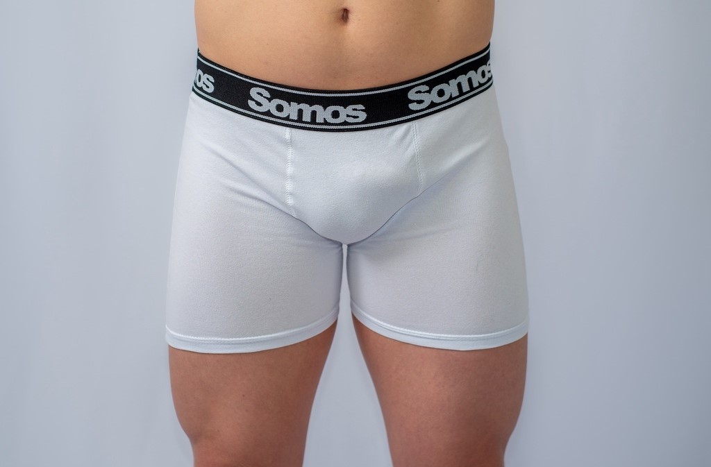 Cueca Boxer Cotton Lisa Adulto