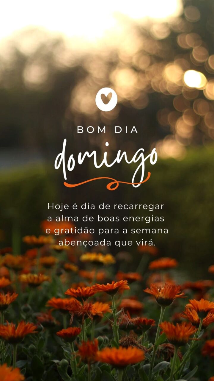 Story Bom Dia Domingo